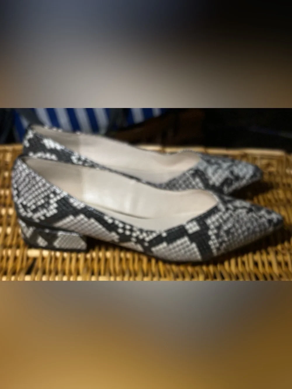 Pointed Toe Snake-Print Flats - White/Black from Katherine Kelly, size 7.5